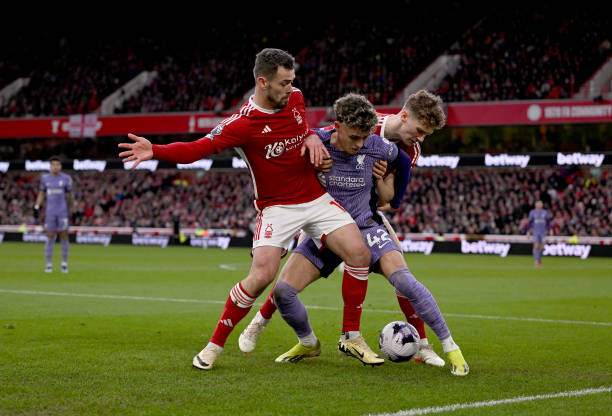 萨雷带来质 萨雷带来质