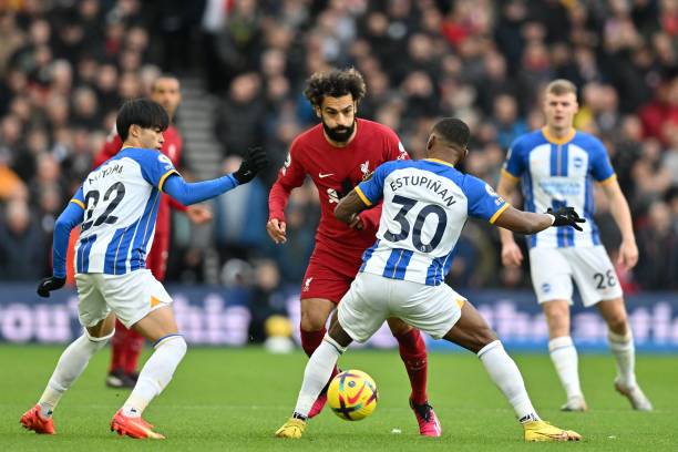 种适应新趋 种适应新趋